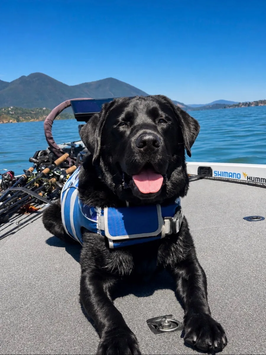 Tank relaxing on the boat off duty